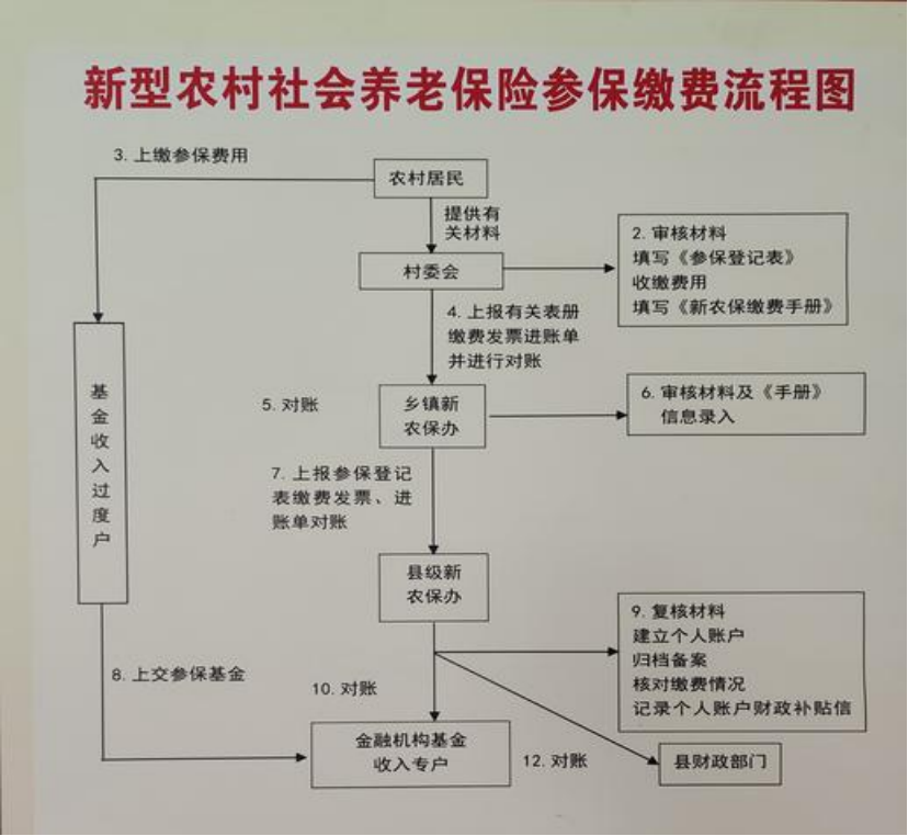三明农村医保和社保有什么区别(农村医保跟社保的区别)